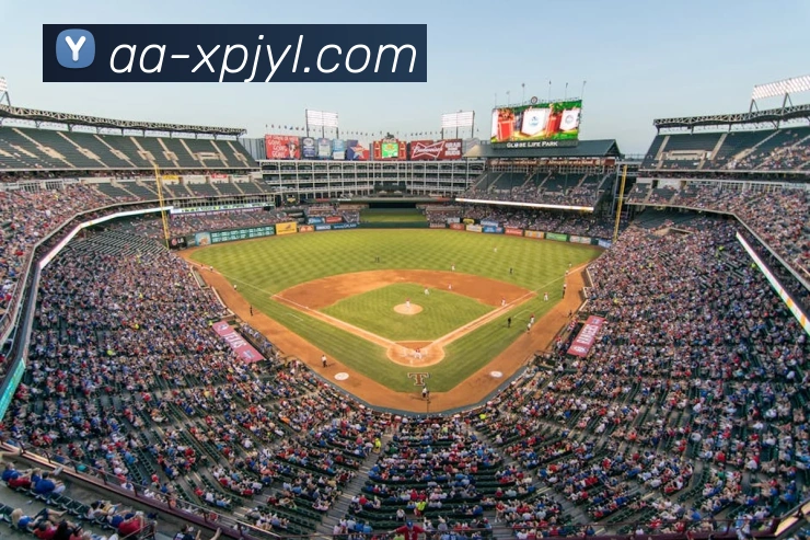 新葡京娱乐平台生态图